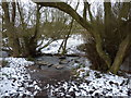 Stepping stones across Bentley Brook