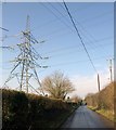 Crossed wires, Nursling