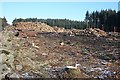 Timber Operations near Brodiesord