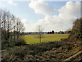 Parc Caedelyn viewed from Rhiwbina railway station, Cardiff