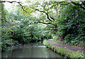 Stratford-upon-Avon Canal near Whitlock