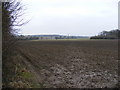 Footpath to Spring Lane