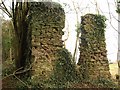 Ruin near Coleford