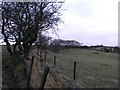 Field boundary near Rhydcymerau