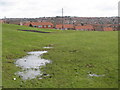 The Vallum east of Sugley Dene (4)