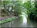 Stratford-upon-Avon Canal near Warstock, Birmingham