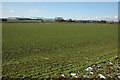 Arable land near Murcot