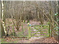 Gate entrance to Apsley Wood