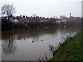 View up the river