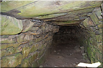 NH7701 : Inside Raitts Cave by Dorothy Carse
