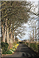 NU2406 : Path leading to Warkworth Cemetery by Great Northern Cycleway