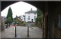 Cedar tree trunk in Abbey Road