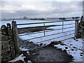 Field gate, Whipperdale Bank