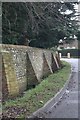 Buttresses on the wall