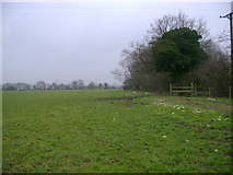 SE6026 : Field  south  of  Burn  Lane by Martin Dawes
