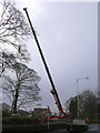 War Memorial being moved