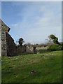 Molehills in the churchyard at St Mary