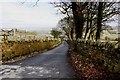 Cleveland Street Trail near Skelton Green