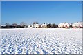 SU5803 : Bridgemary under snow - Nobes Avenue Recreation Ground (4) by Barry Shimmon