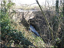 SO8577 : Water leaving the man made Hurcott Pool, near Kidderminster by Richard Rogerson