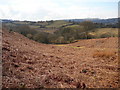 Moorland and track to the north of Mynydd Rudry.