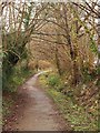 Goodymoor Lane, Wells