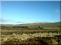 Upland hillfarms on Mynydd Morfil