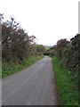 Looking down the Pen Y Rhiw road which leads to St Dogmaels