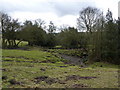 Footbridge and spring