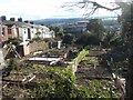 Private allotments by St Leonard