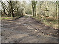 Footpath and bridleway junction in River Common