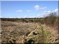 Footpath to Bushes Farm, Snitterfield