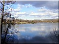 Fendrod Lake, Llansamlet, Swansea