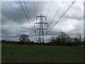 Pylons over crops near Lodge Farm