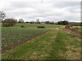 Footpath approach to River Park Farm