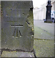 Bench Mark, Belfast