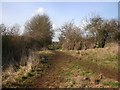 Footpath to Stratford