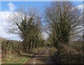 Lane near Linnick Farm