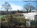 Rusthall Allotments