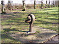 Water font in Barking Park
