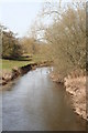 The River Culm below Ellerhayes Bridge