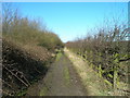 Bridleway off the B1230