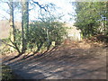 Bridleway on the bend on Farnham Lane