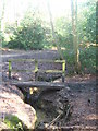 Footbridge in Nellington Wood