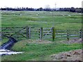 Gate near Keinton Mandeville