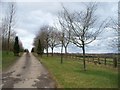 Driveway and footpath