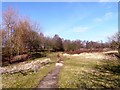 Footpath off Woodlands Road