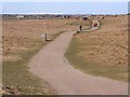 Eve Black Coastal Walkway