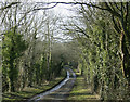 ST8573 : 2010 : Ham Lane west of Biddestone by Maurice Pullin