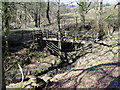 Footbridge Over Dobsons Brook